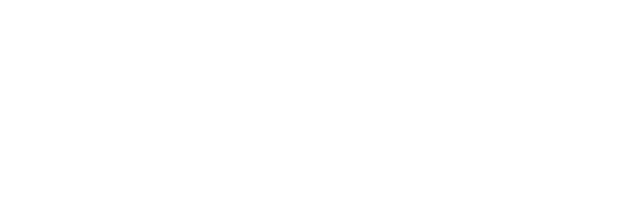 logo slb blanco